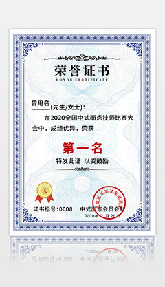 卓越销售代理荣誉奖状